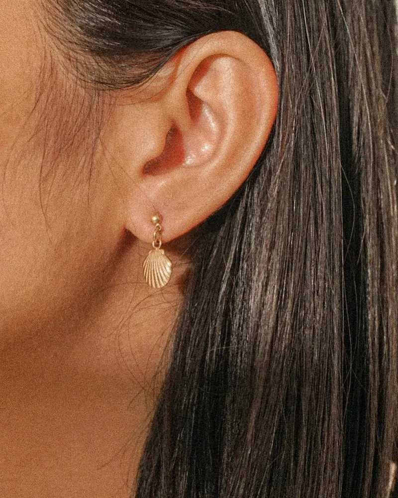 Almeja Studs