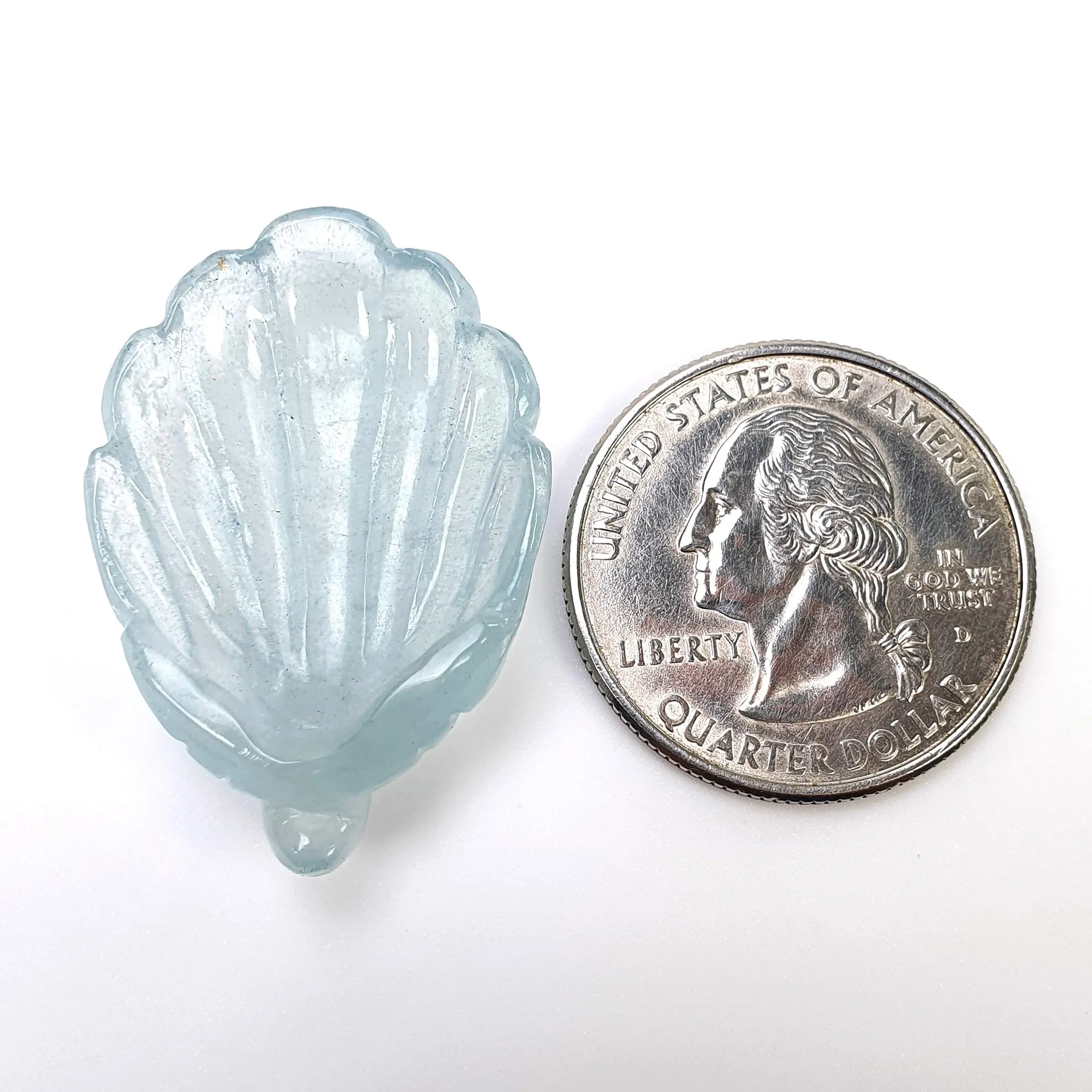 BLUE AQUAMARINE Gemstone Carving  : 21.90cts Natural Untreated Aqua Hand Carved Sea Shell 33*23mm (With Video)