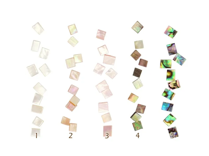 Natural Seashell Mosaic Cabochon - 10 pcs