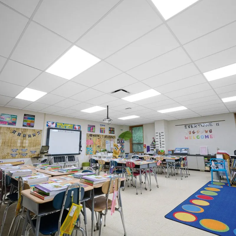SCHOOL ZONE Fine Fissured (Fire Guard)